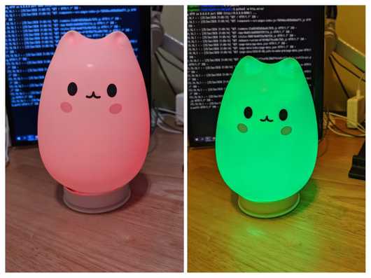 Look at this colorful kitty!